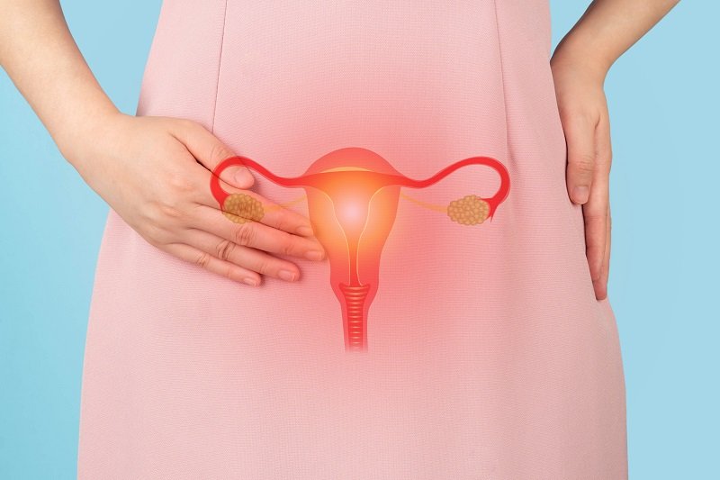 Woman holding lower abdomen with an illustration of the uterus and ovaries highlighted to indicate pelvic or reproductive health issues.